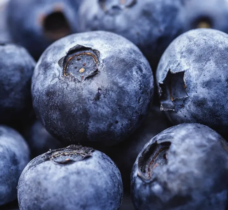 Plump fresh blueberries