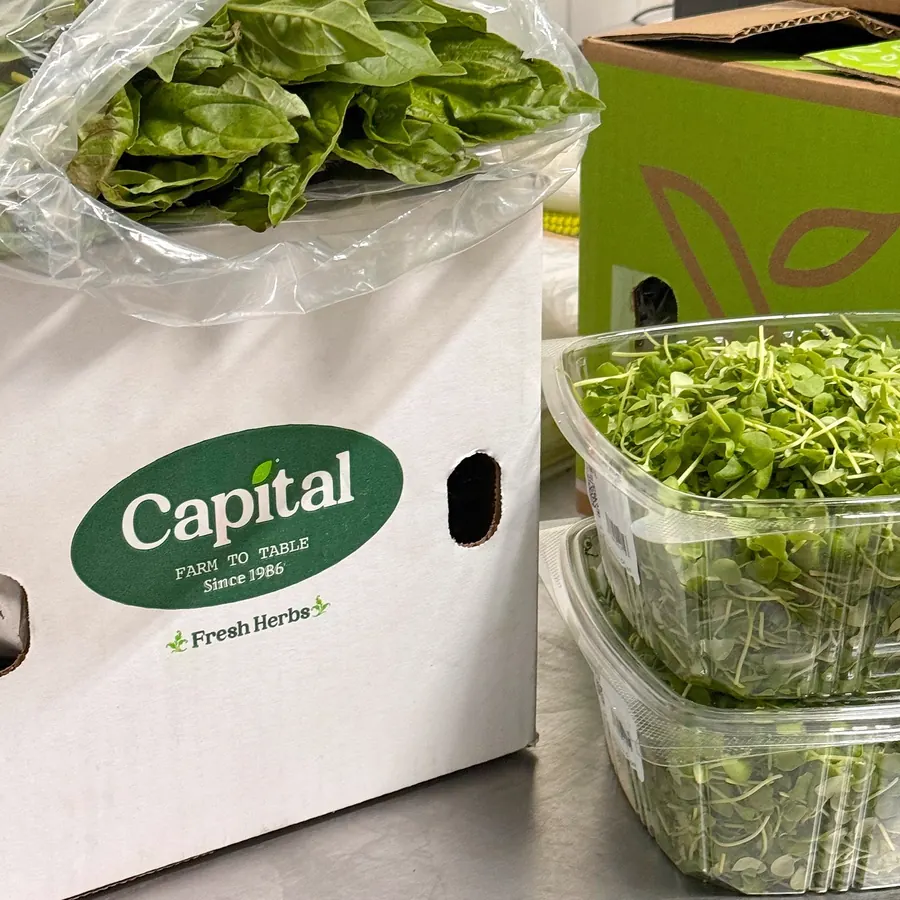A Capital Farm to Table fresh herbs box packed with basil