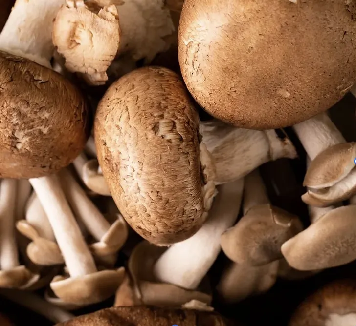 Brown crimini mushrooms with pale specialty mushrooms