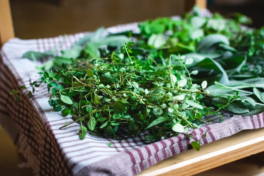 Bundles of fresh thyme, sage and other herbs