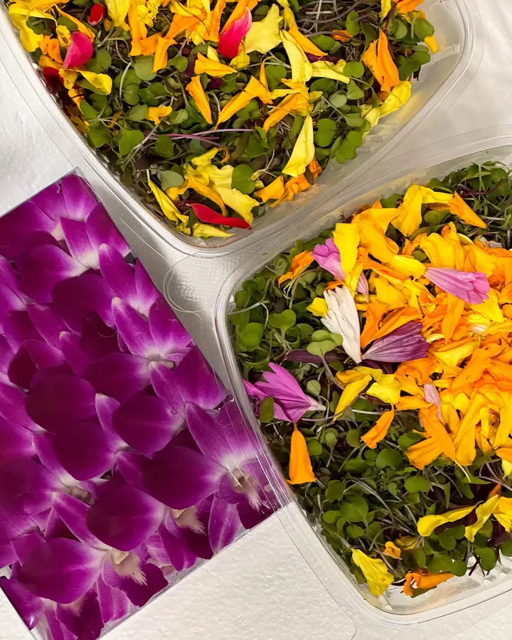 Microgreens topped with marigold petals beside purple orchid blossoms