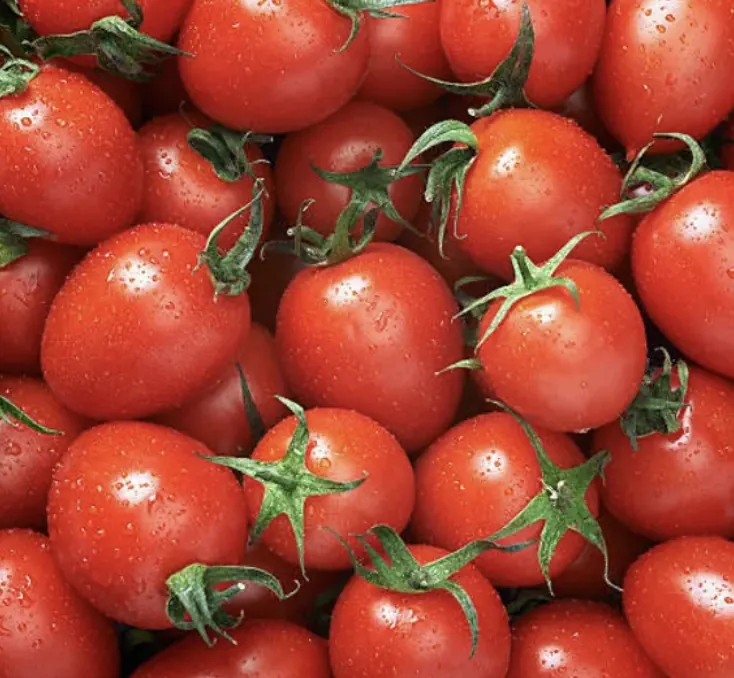 Red vine-ripened tomatoes