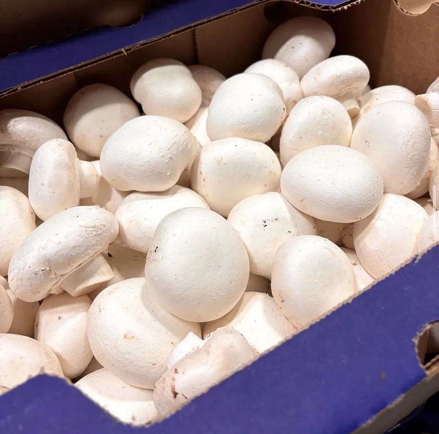 A case of bright white mushrooms