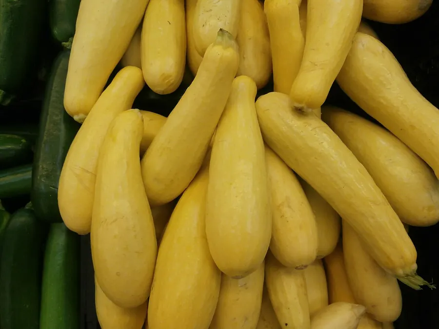A pile of golden yellow squash